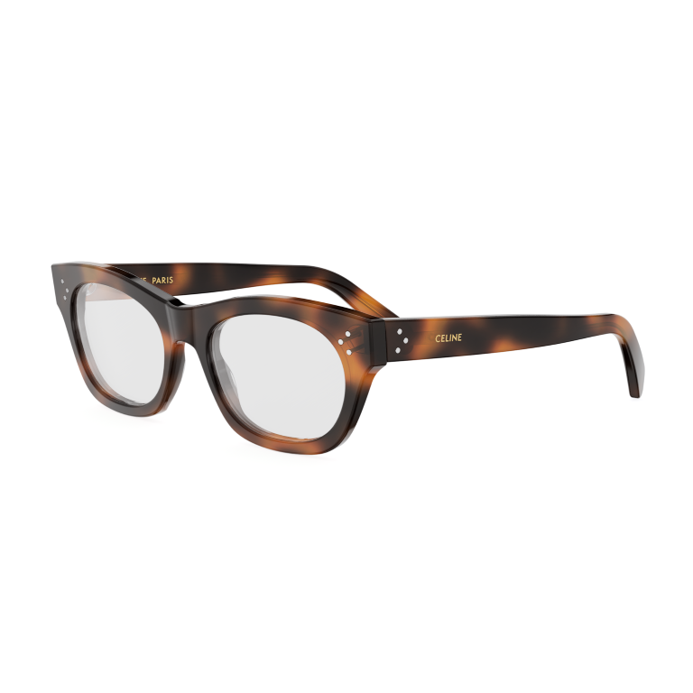 Celine  CL50166I  053  53